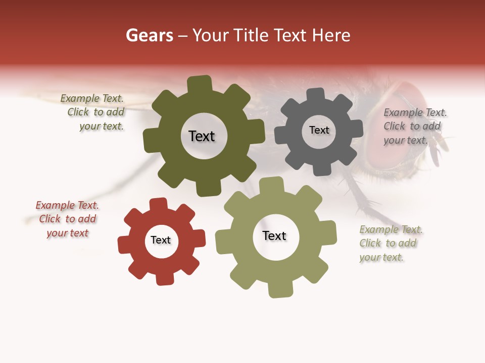 Closeup Wing Wild PowerPoint Template