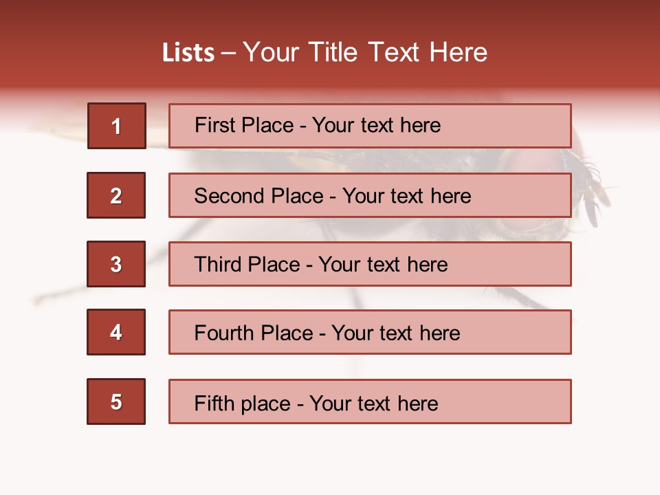 Closeup Wing Wild PowerPoint Template