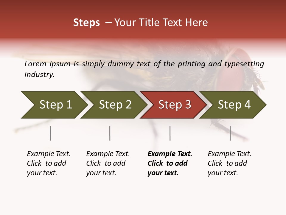 Closeup Wing Wild PowerPoint Template
