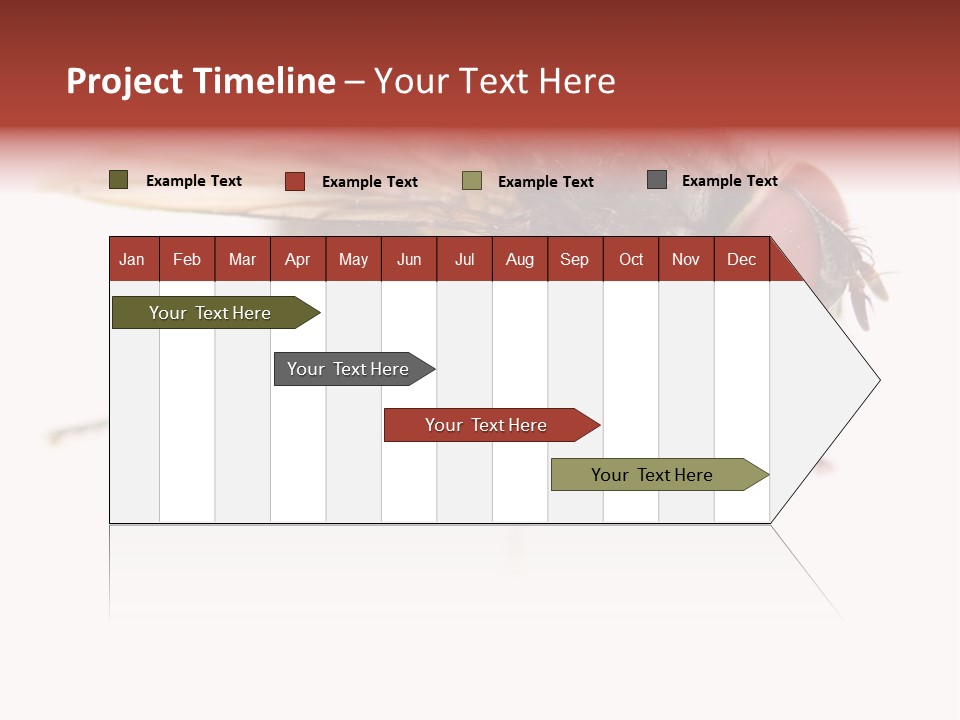 Closeup Wing Wild PowerPoint Template