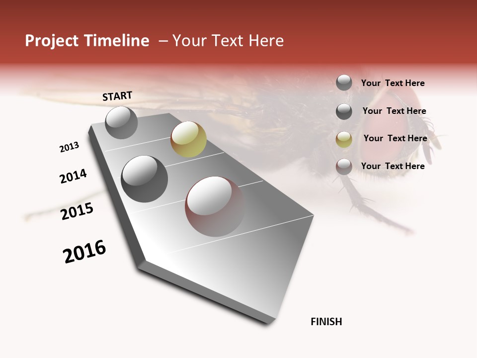 Closeup Wing Wild PowerPoint Template