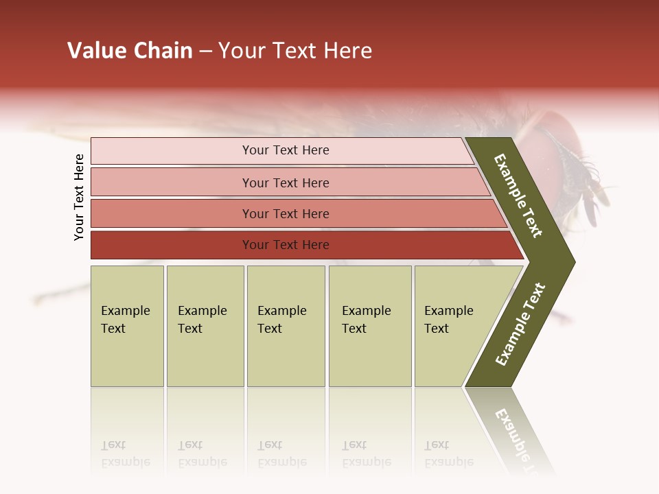 Closeup Wing Wild PowerPoint Template