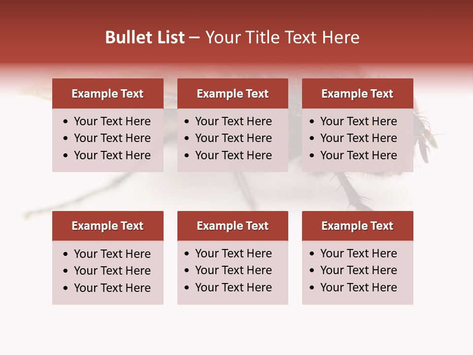 Closeup Wing Wild PowerPoint Template