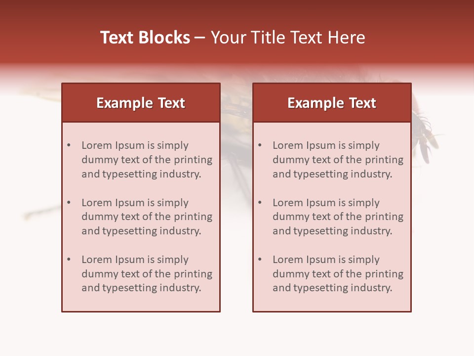 Closeup Wing Wild PowerPoint Template