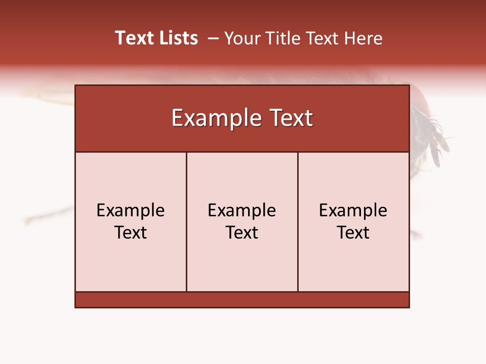Closeup Wing Wild PowerPoint Template