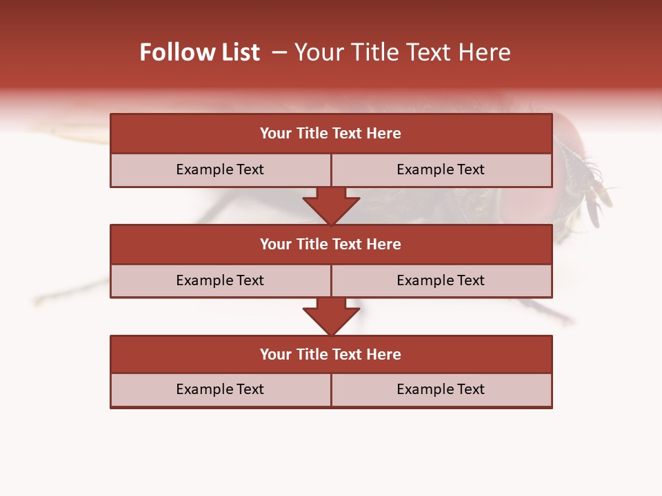 Closeup Wing Wild PowerPoint Template