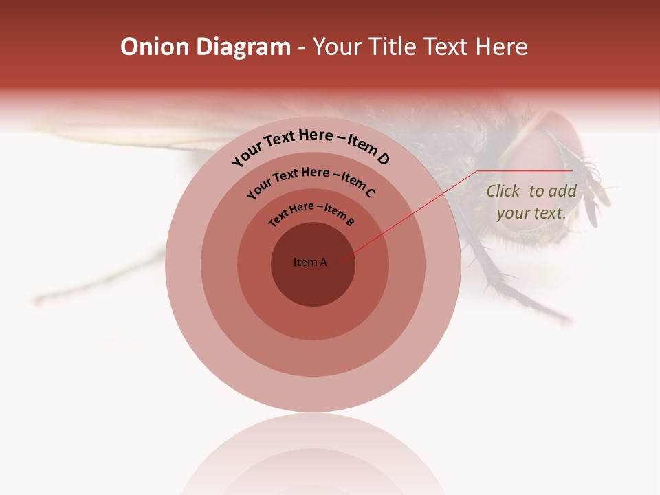 Closeup Wing Wild PowerPoint Template