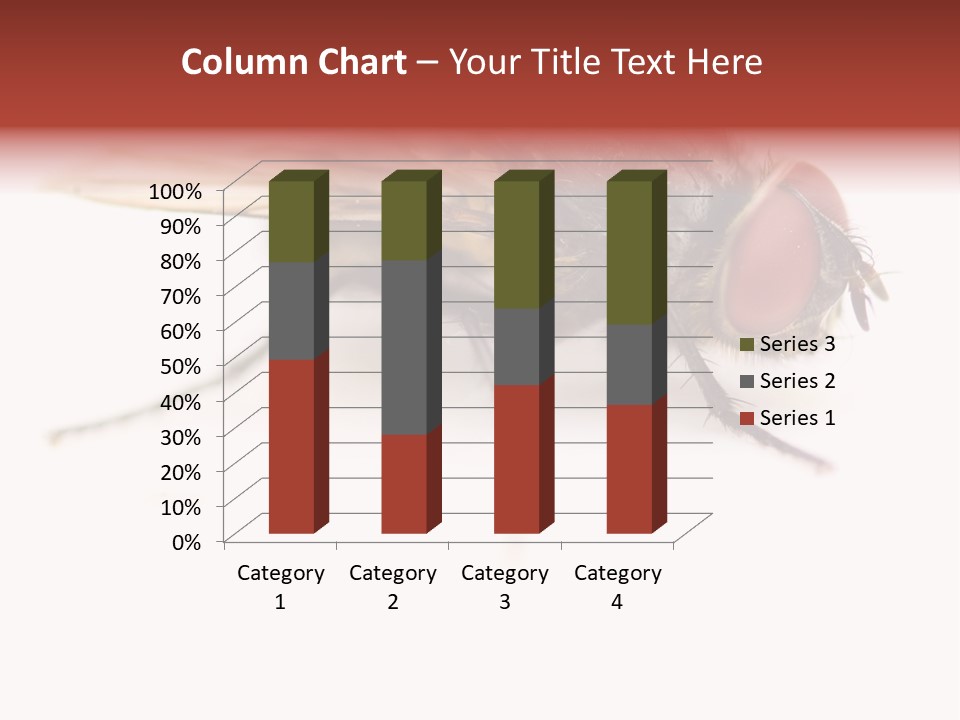 Closeup Wing Wild PowerPoint Template