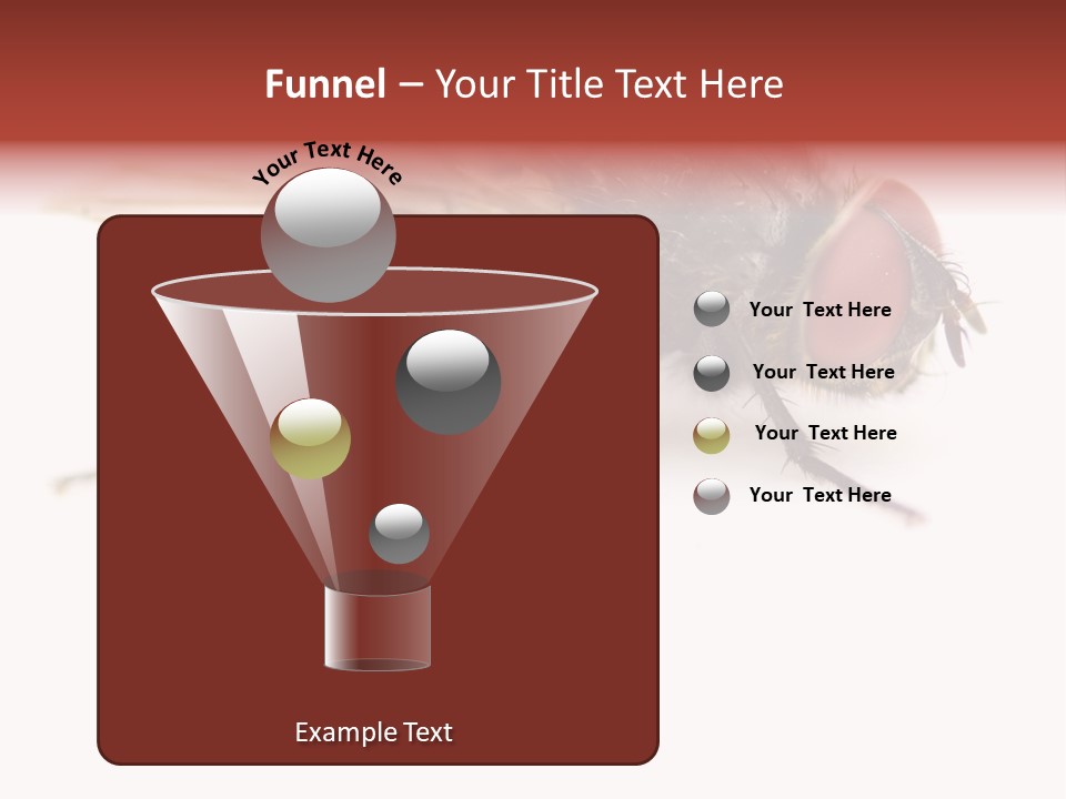Closeup Wing Wild PowerPoint Template