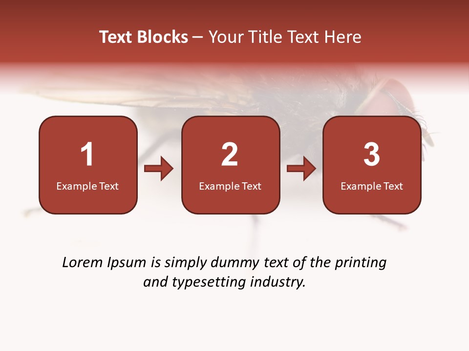 Closeup Wing Wild PowerPoint Template