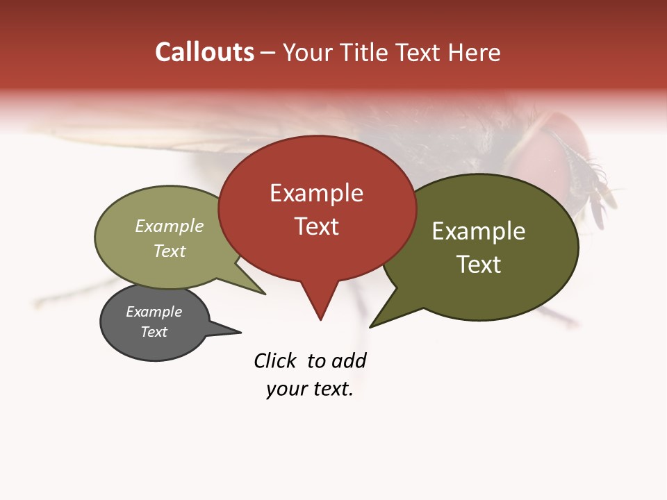 Closeup Wing Wild PowerPoint Template