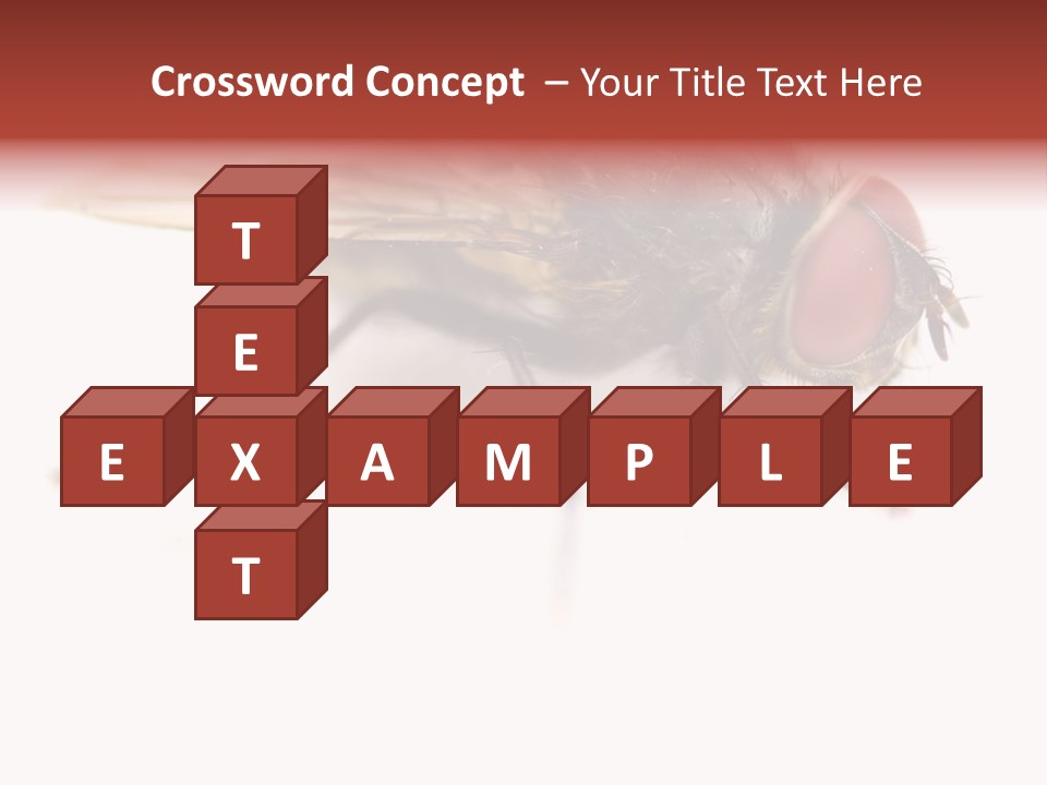 Closeup Wing Wild PowerPoint Template