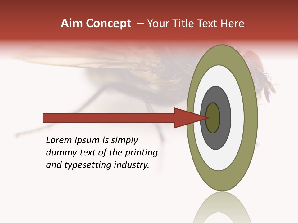 Closeup Wing Wild PowerPoint Template