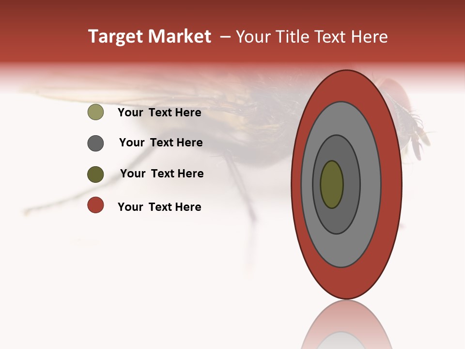 Closeup Wing Wild PowerPoint Template