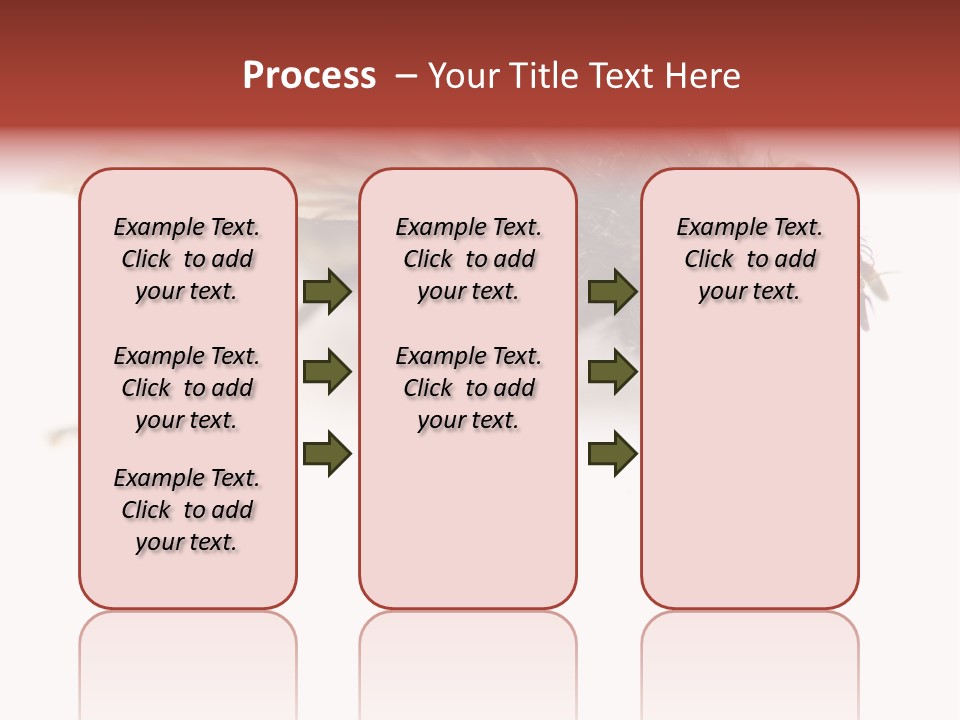 Closeup Wing Wild PowerPoint Template