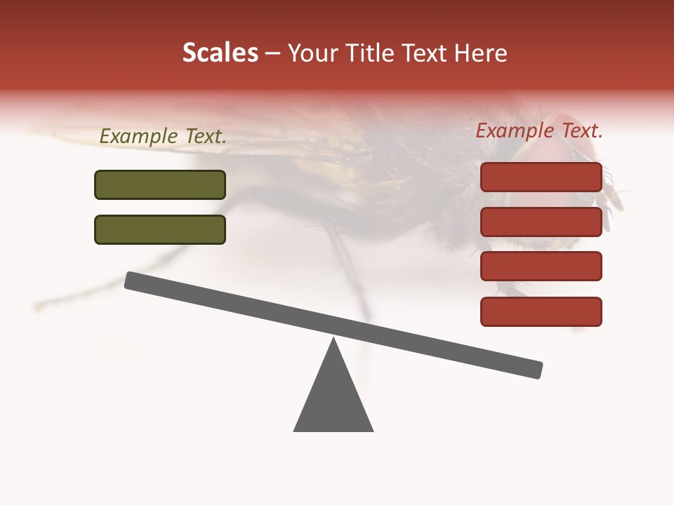 Closeup Wing Wild PowerPoint Template