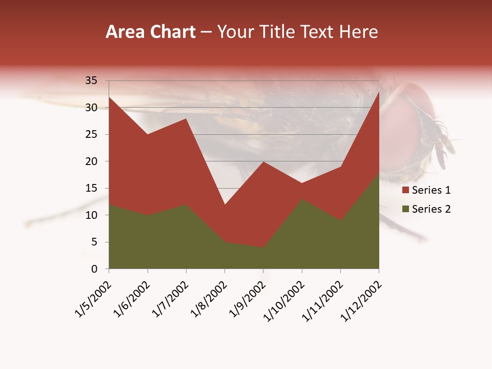 Closeup Wing Wild PowerPoint Template