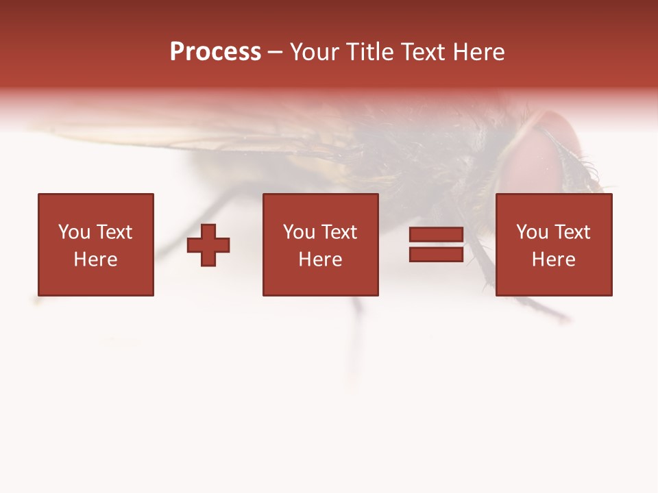 Closeup Wing Wild PowerPoint Template