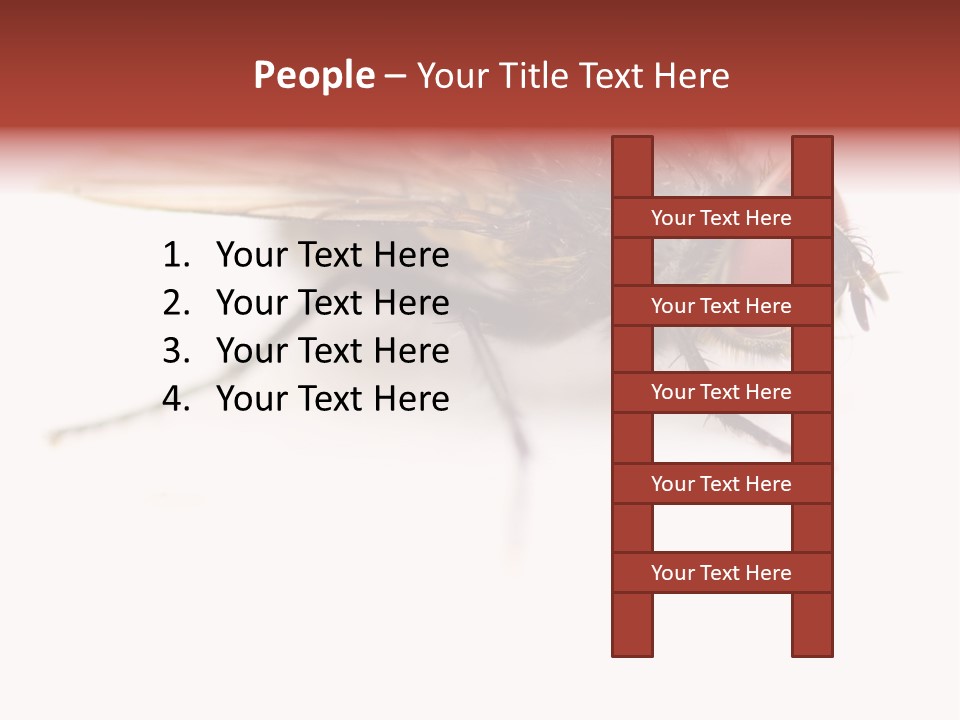 Closeup Wing Wild PowerPoint Template
