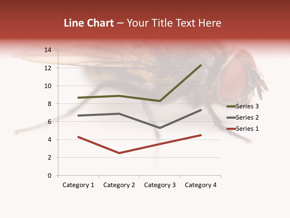 Closeup Wing Wild PowerPoint Template