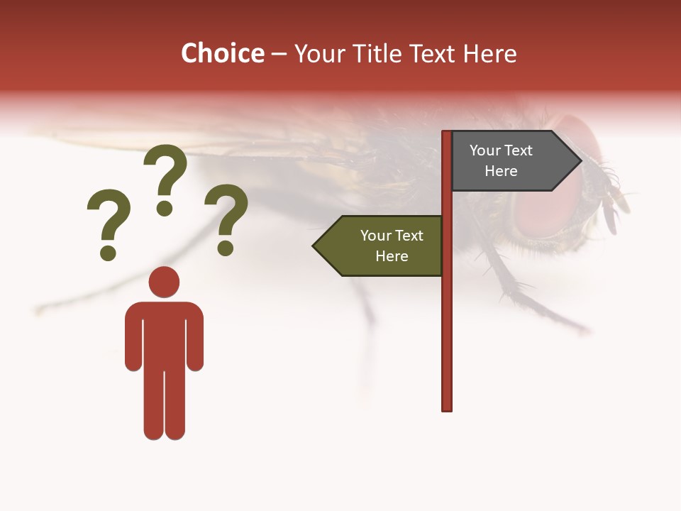 Closeup Wing Wild PowerPoint Template