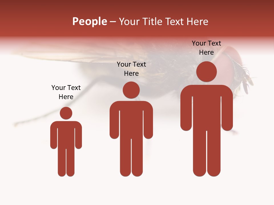 Closeup Wing Wild PowerPoint Template