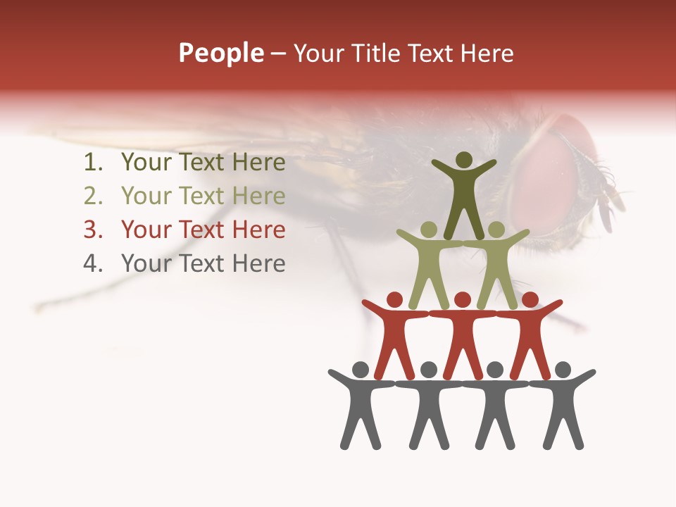 Closeup Wing Wild PowerPoint Template