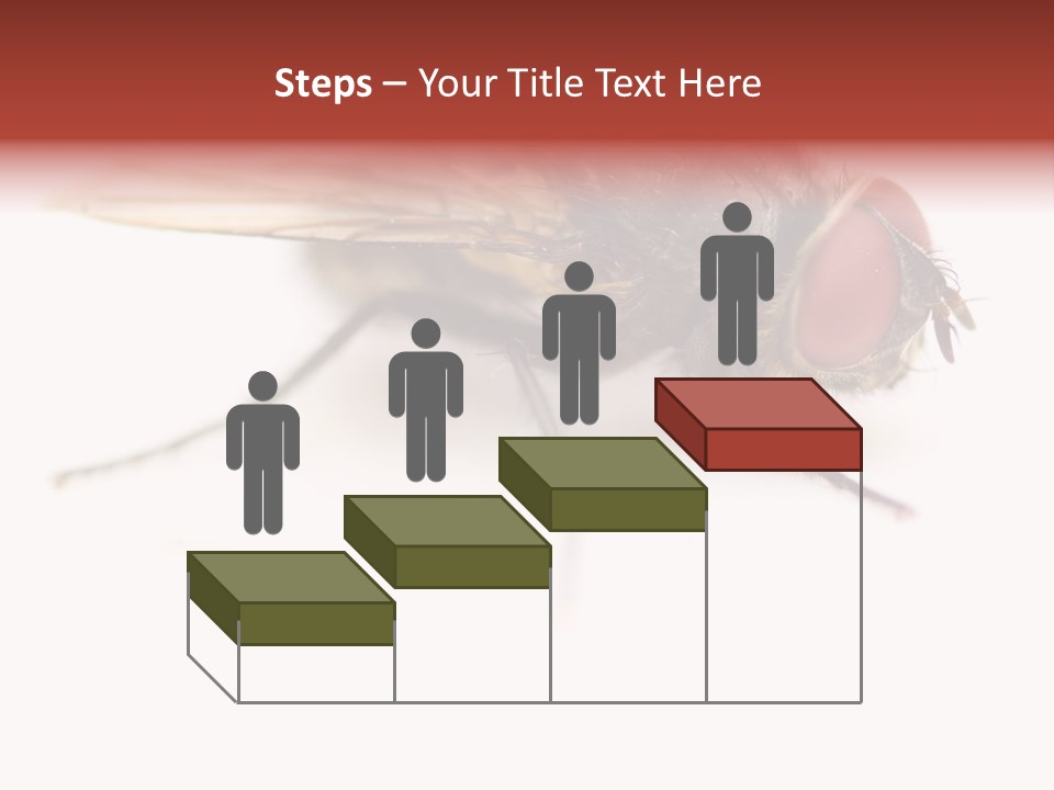 Closeup Wing Wild PowerPoint Template