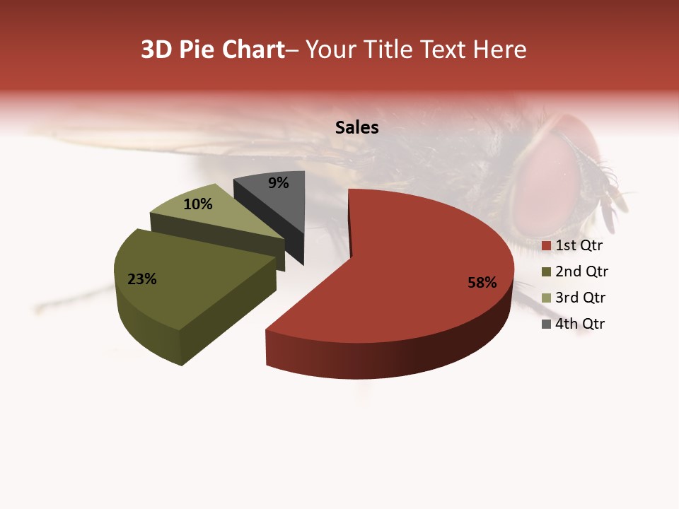 Closeup Wing Wild PowerPoint Template