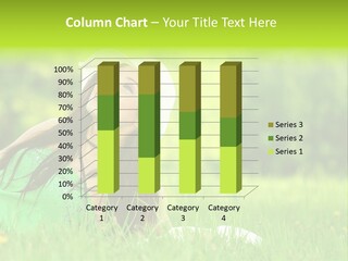 Expression Human Skin PowerPoint Template