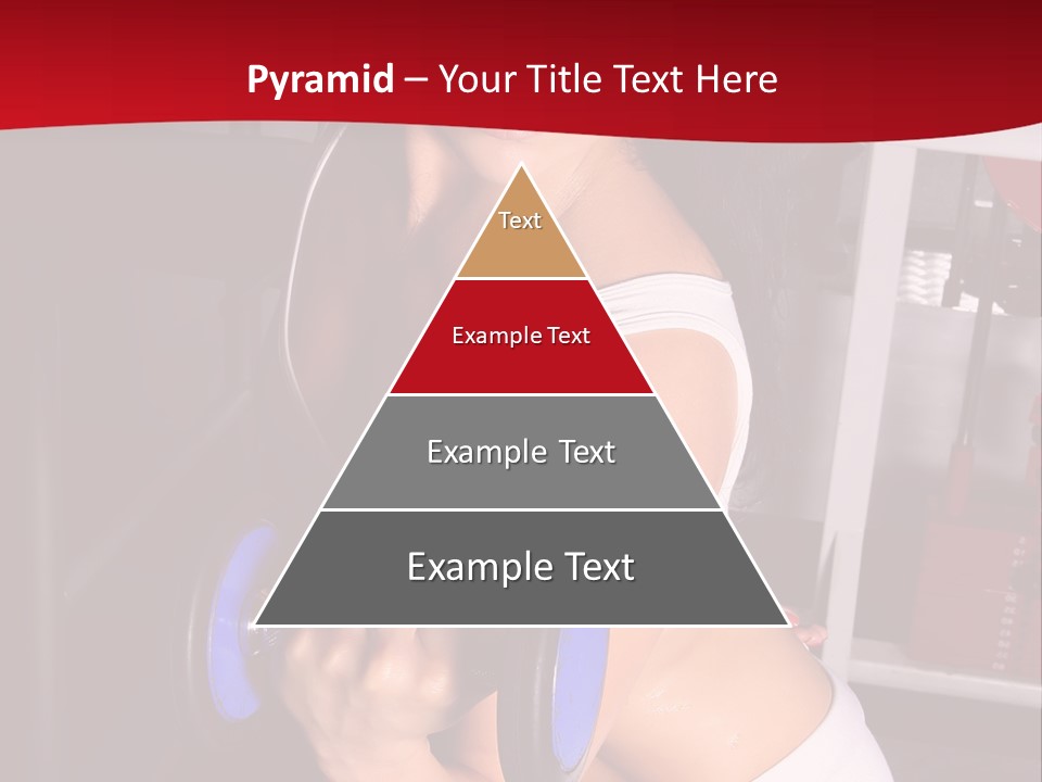 Legs Woman Fatness PowerPoint Template