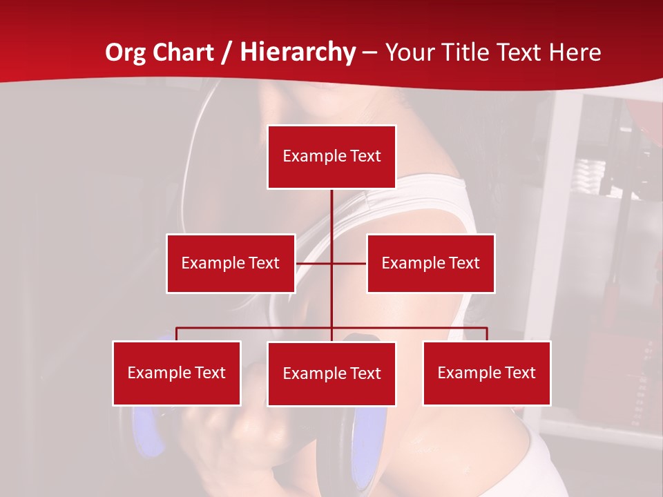 Legs Woman Fatness PowerPoint Template