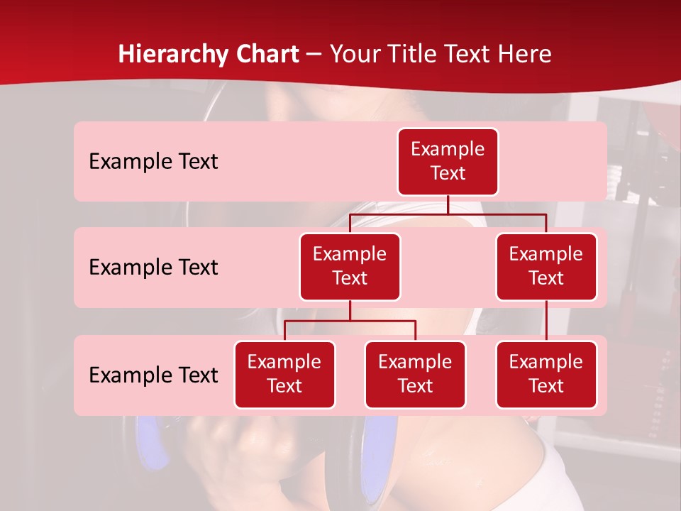 Legs Woman Fatness PowerPoint Template