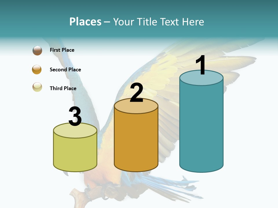 Wild White Bird PowerPoint Template