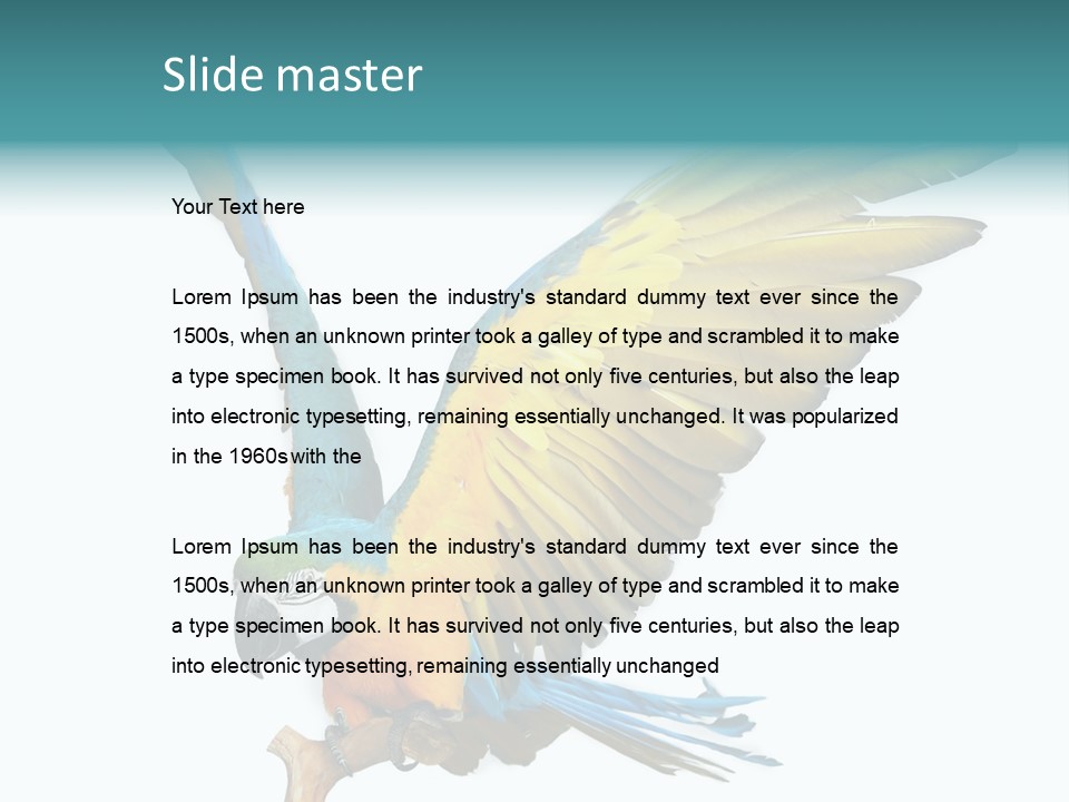 Wild White Bird PowerPoint Template