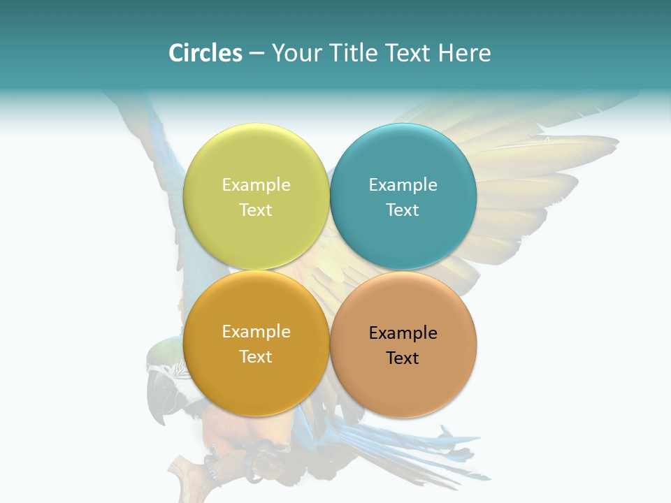 Wild White Bird PowerPoint Template