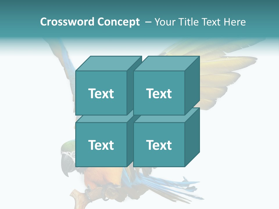 Wild White Bird PowerPoint Template