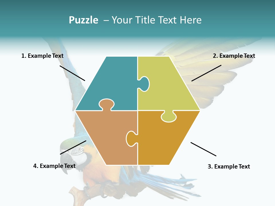 Wild White Bird PowerPoint Template