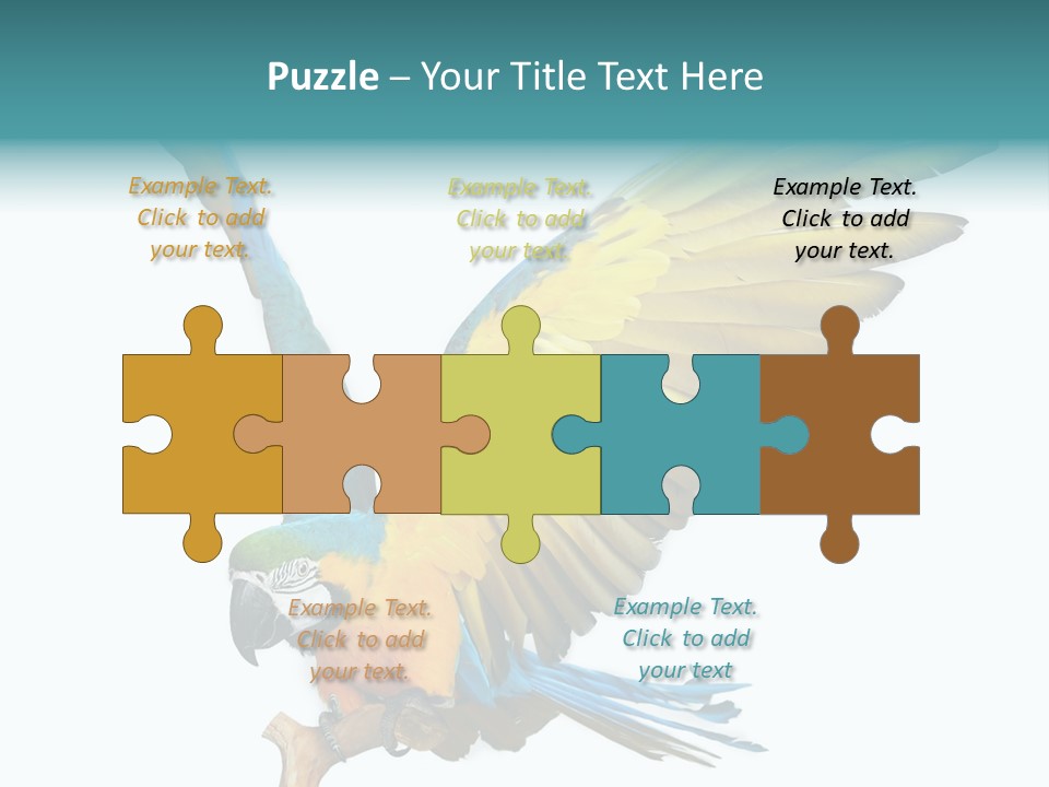 Wild White Bird PowerPoint Template