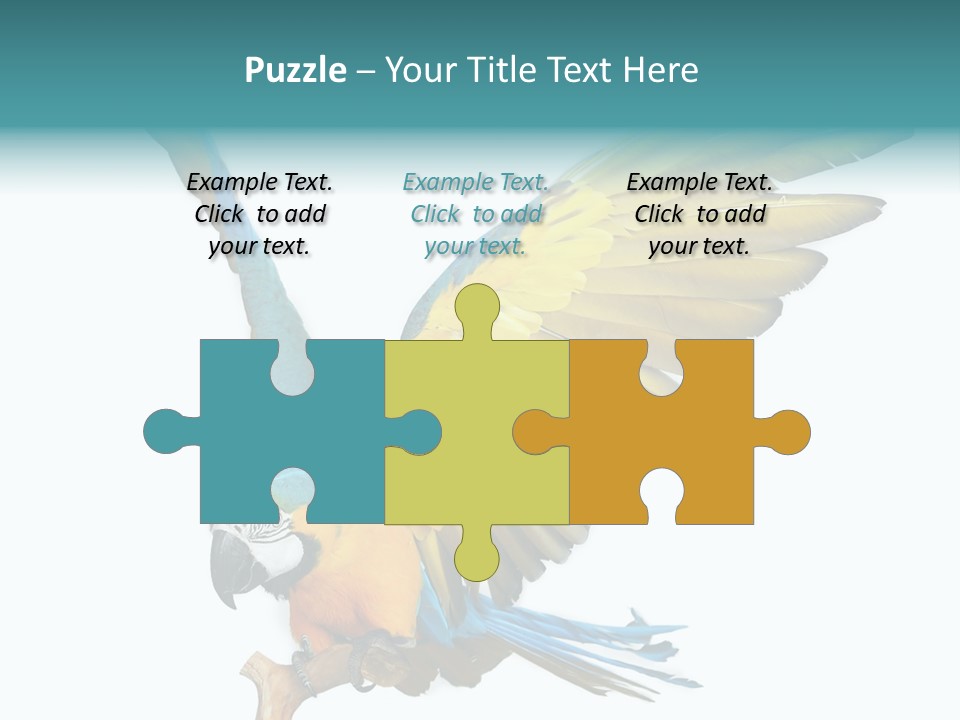 Wild White Bird PowerPoint Template