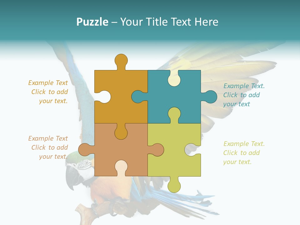 Wild White Bird PowerPoint Template