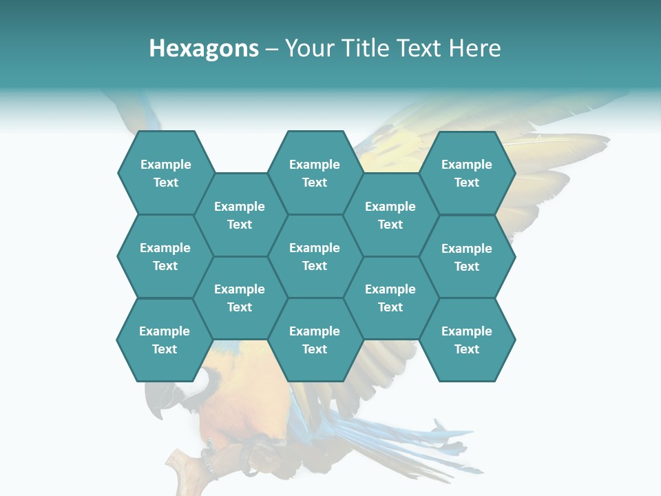 Wild White Bird PowerPoint Template