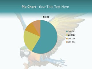 Wild White Bird PowerPoint Template