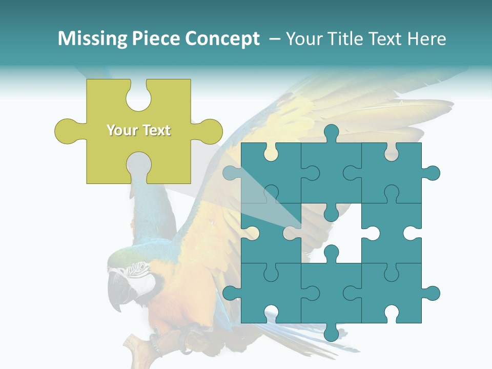 Wild White Bird PowerPoint Template