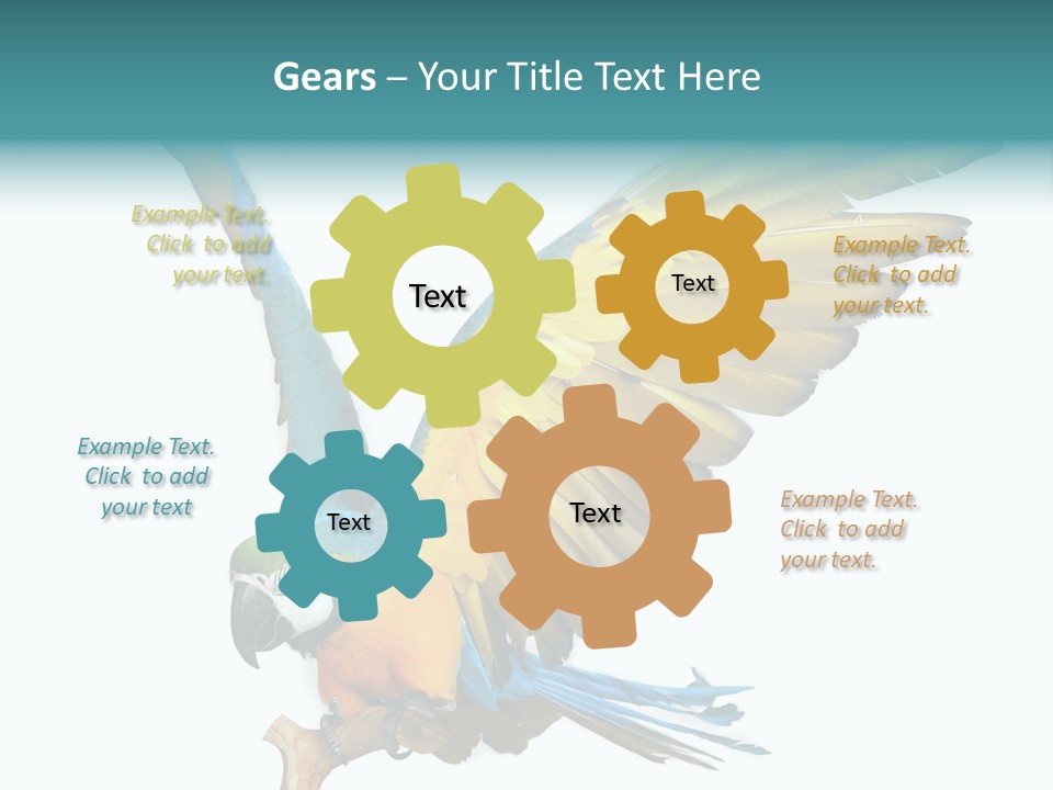 Wild White Bird PowerPoint Template