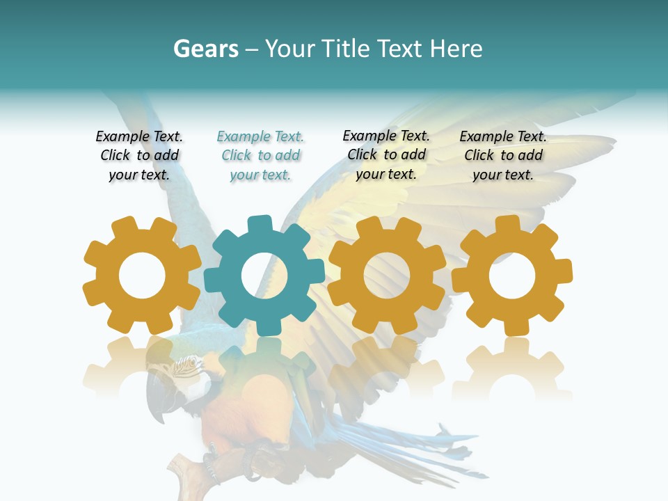 Wild White Bird PowerPoint Template