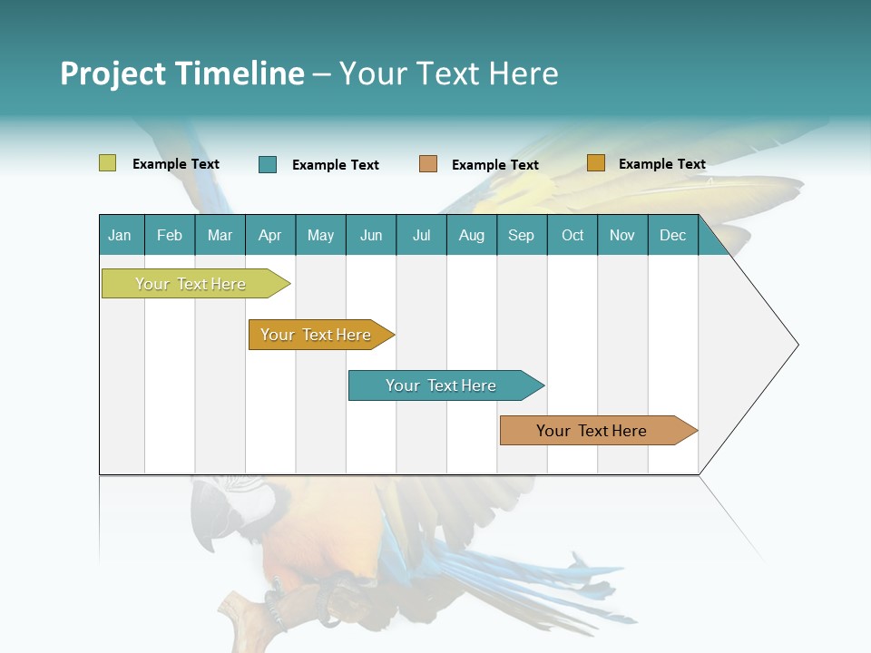 Wild White Bird PowerPoint Template
