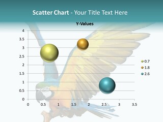 Wild White Bird PowerPoint Template