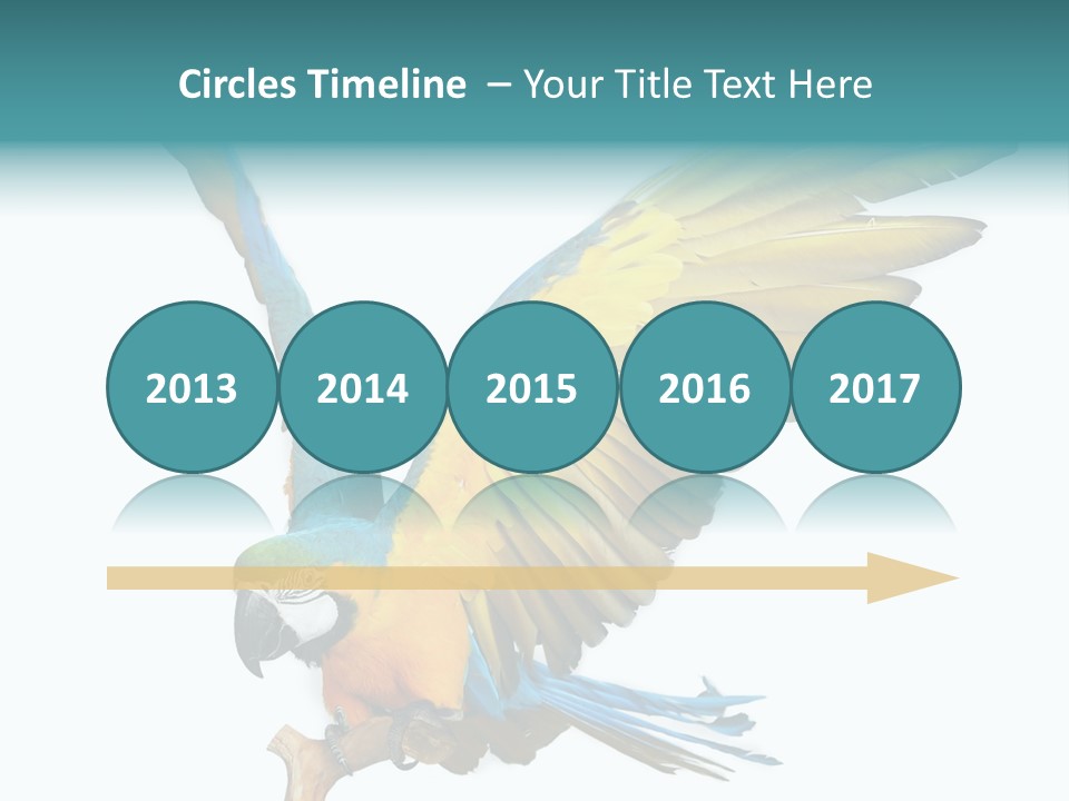 Wild White Bird PowerPoint Template