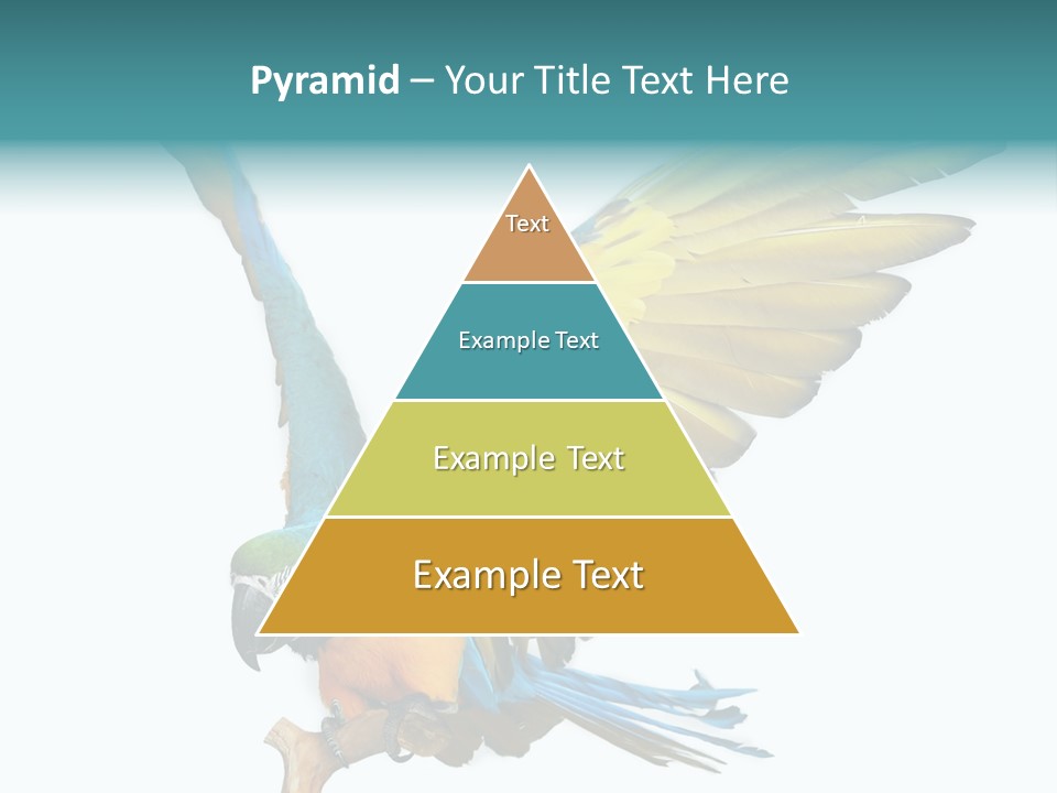 Wild White Bird PowerPoint Template